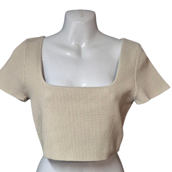 Babaton Short Sleeve  Ribbed Crop Top Women's Size Large Neutral Square Neck - Picture 13 of 13